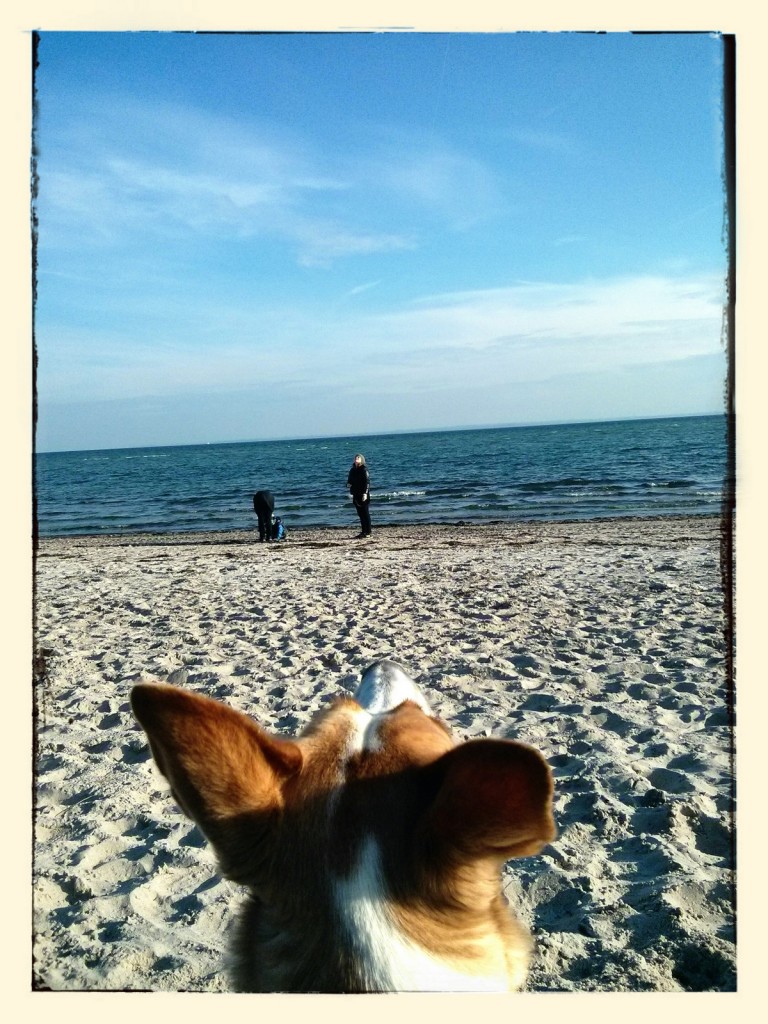 IMG_20131014_160259_1