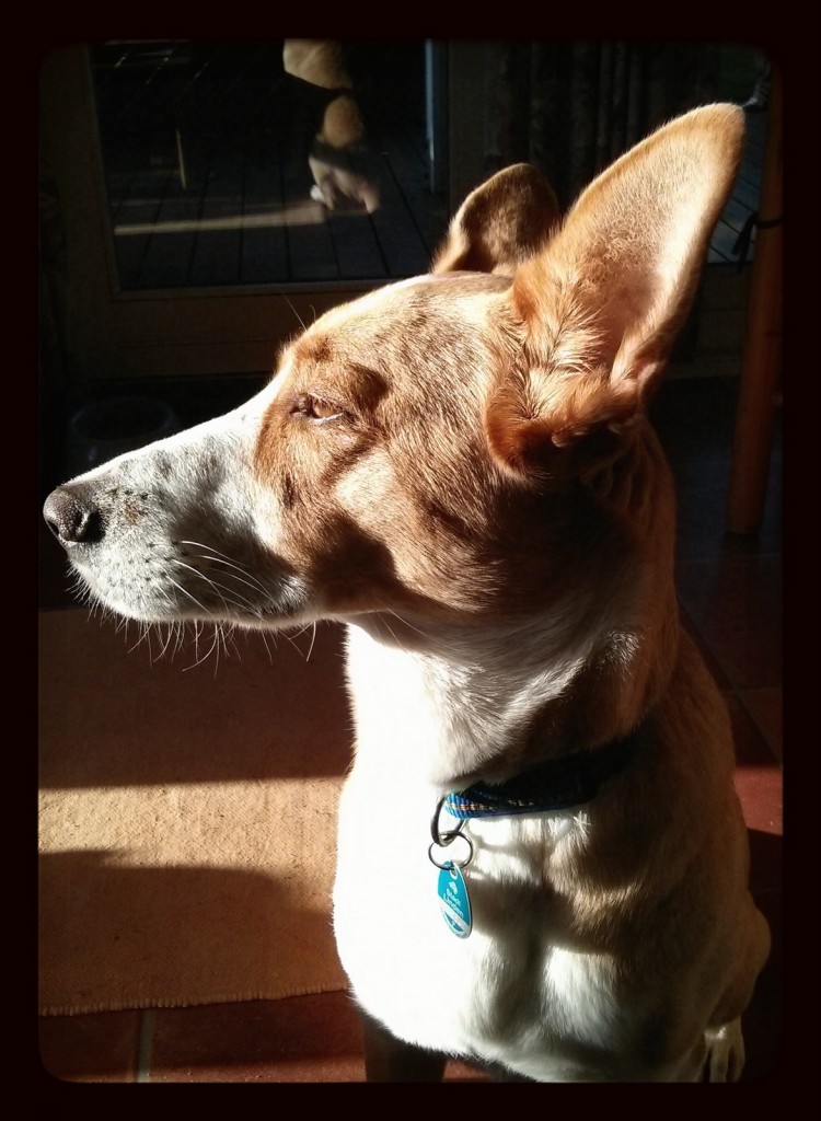 IMG_20131018_093158_1